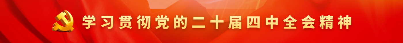 学习贯彻党的二十届四中全会精神