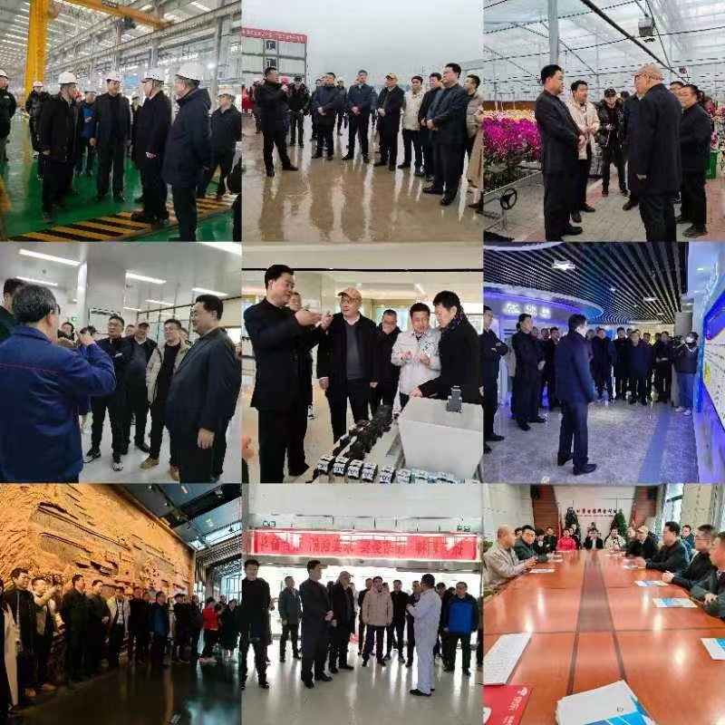 1678674973382027.jpg 20230313_105327_012.jpg