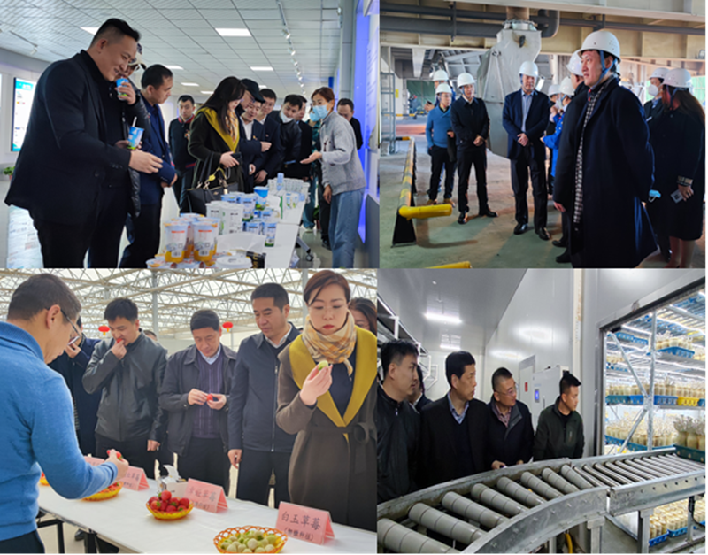 1678782724398351.png 5.png