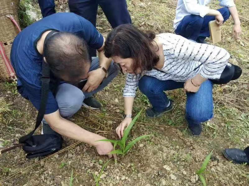 1682046324802214.jpg 2.jpg